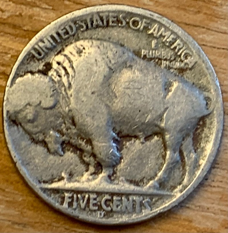 1936-D-Buffalo-Nickel-For-Grading